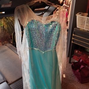 Frozen Disney costume.